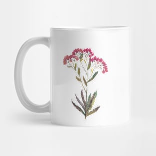 Achillea Mug